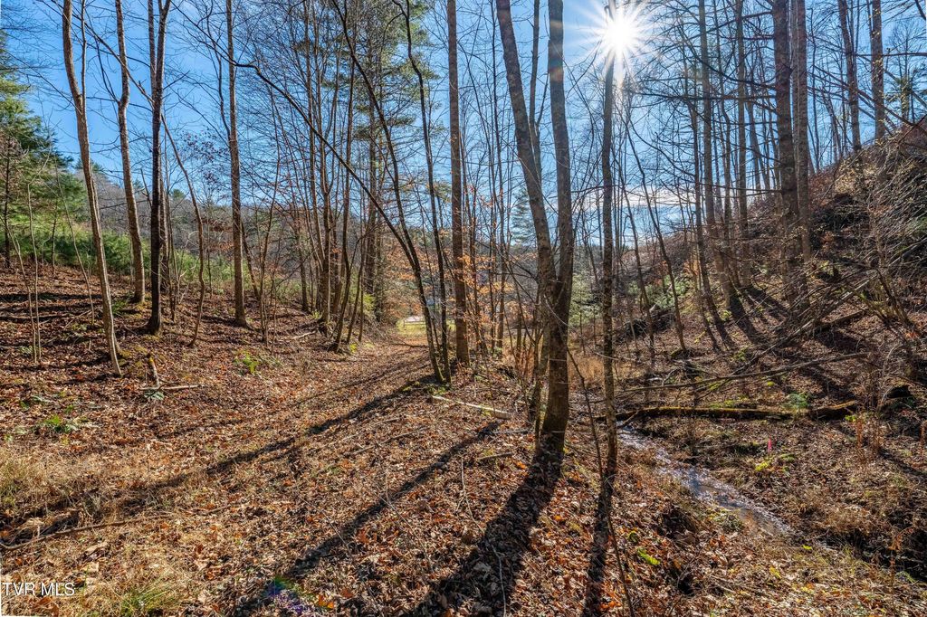 Photo of Tbd Hubert Taylor Road, Mountain City, TN 37683 (MLS # 9989004)