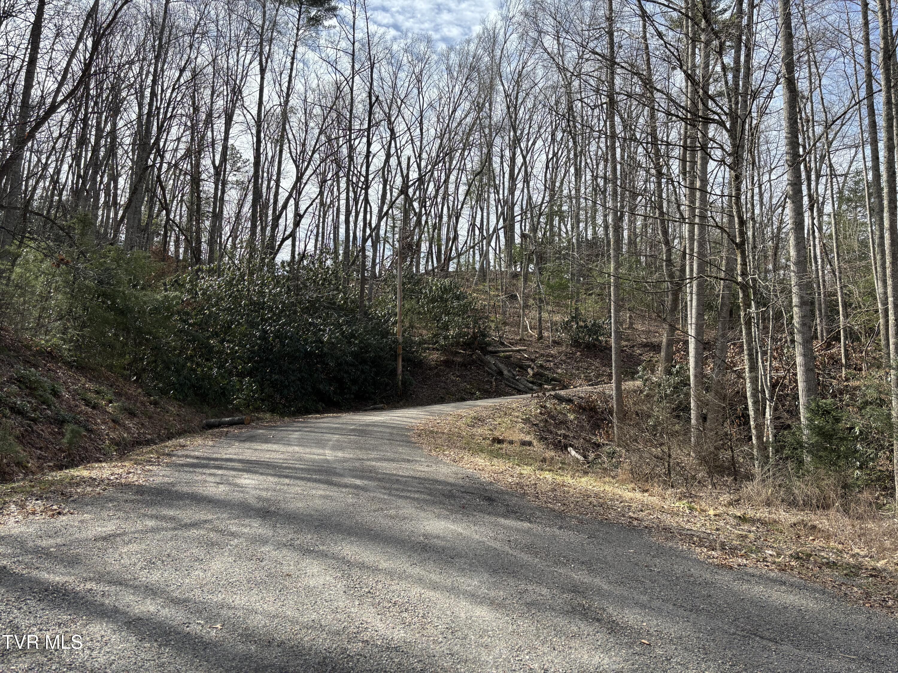 36b Of Roan Creek Road, Butler, Tennessee image 11