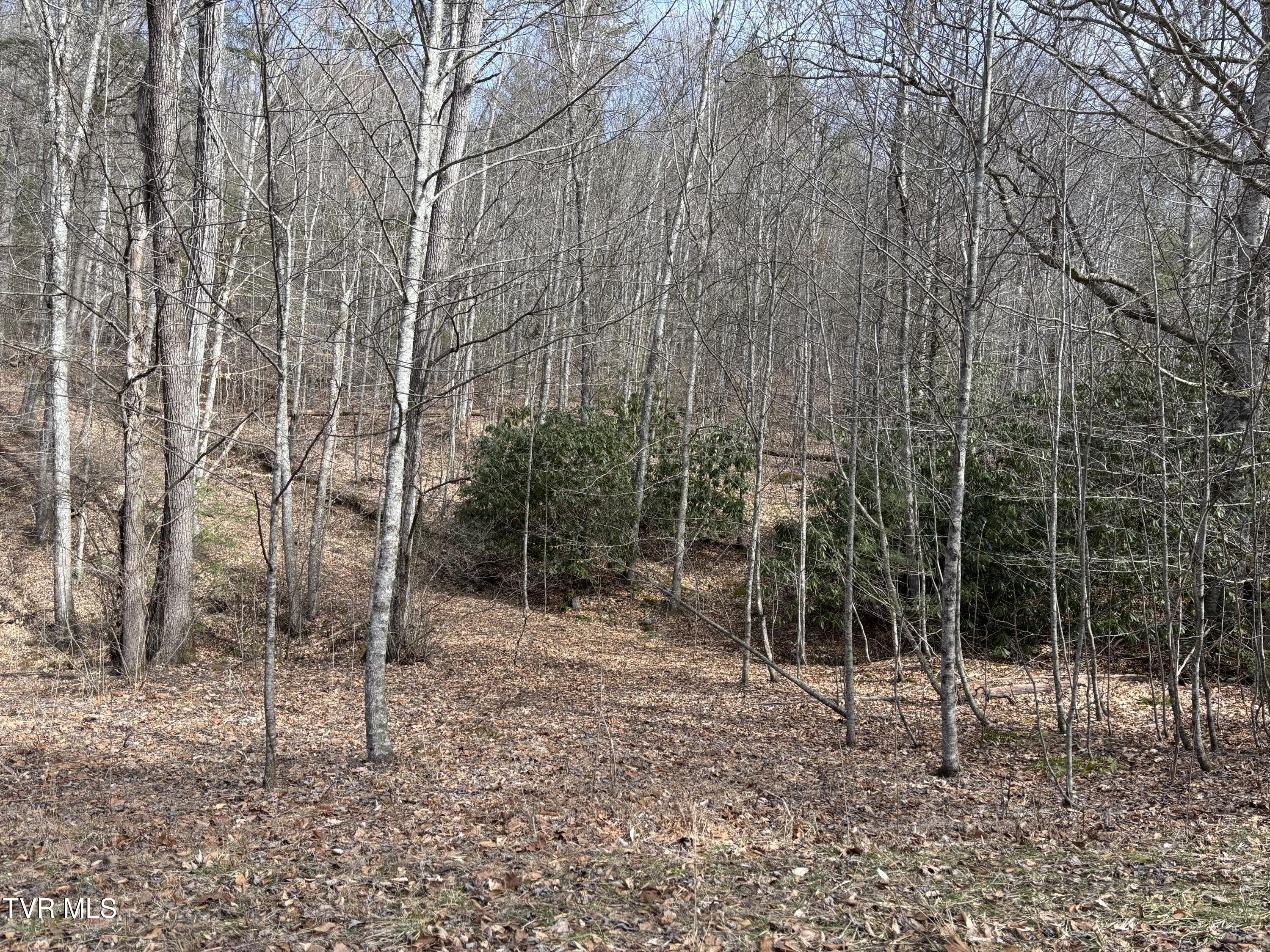 36b Of Roan Creek Road, Butler, Tennessee image 6