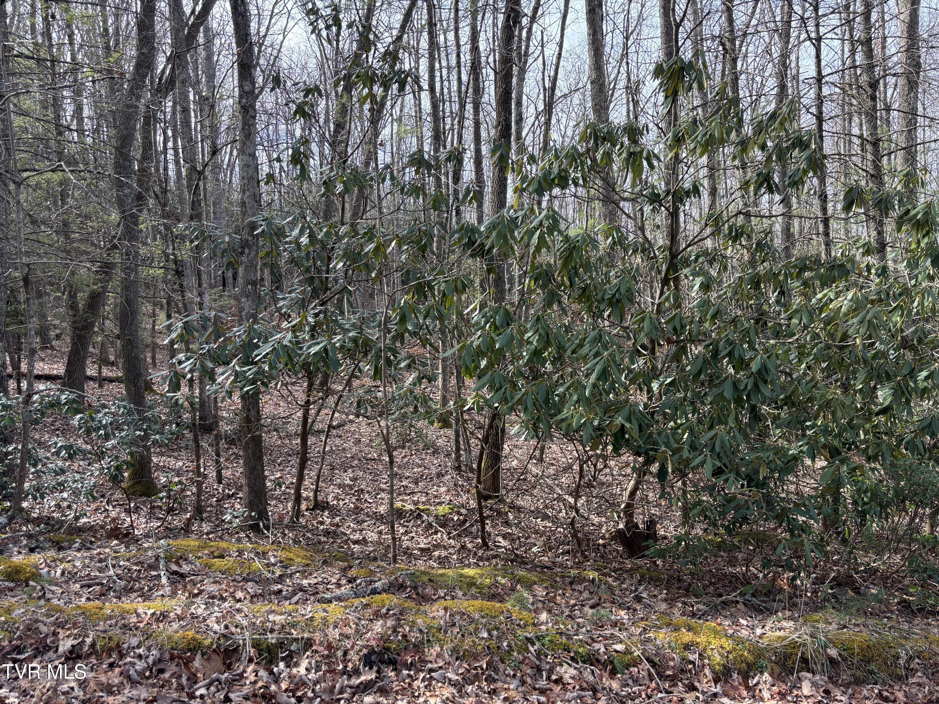 36b Of Roan Creek Road, Butler, Tennessee image 10