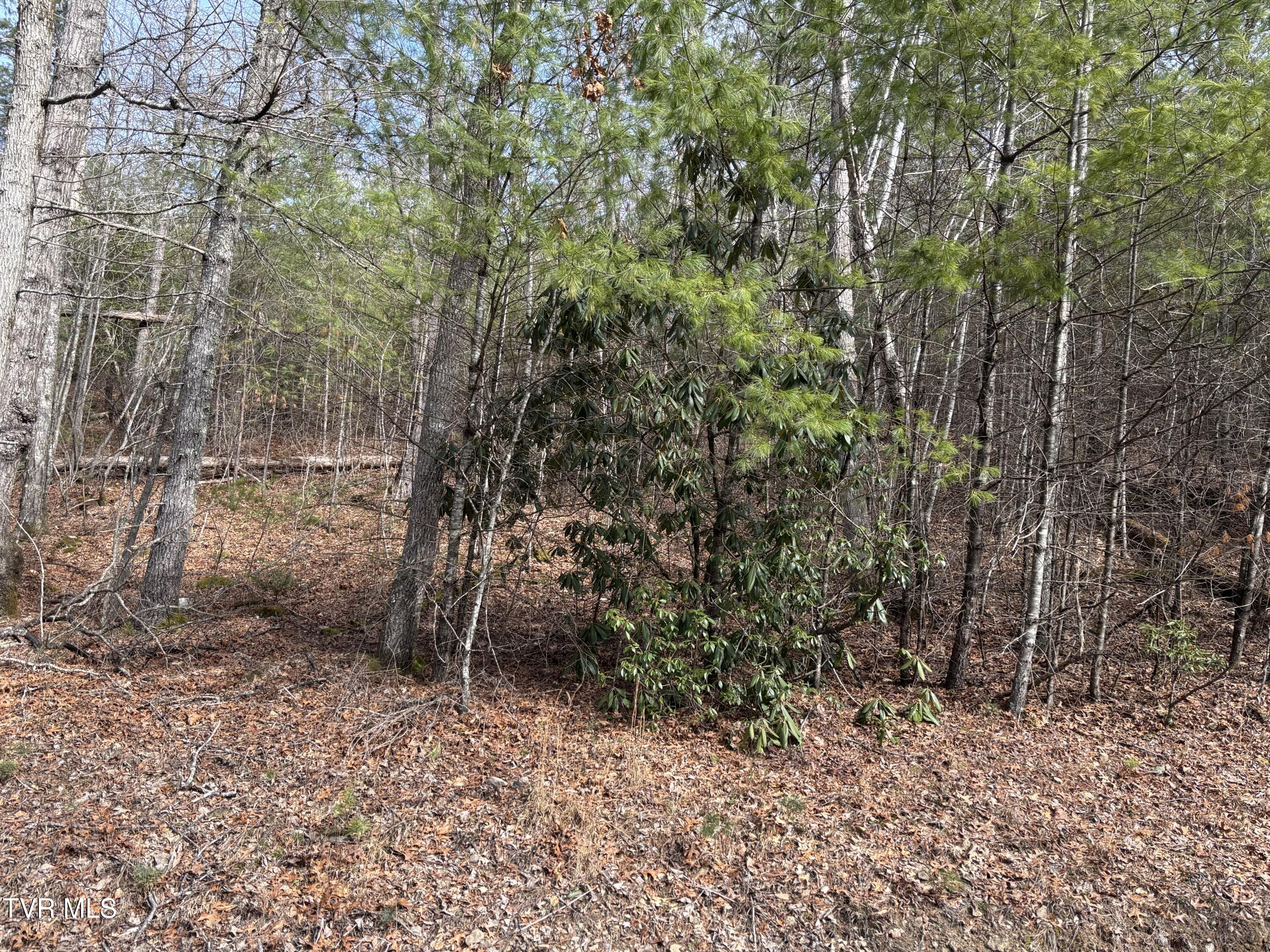 36b Of Roan Creek Road, Butler, Tennessee image 8