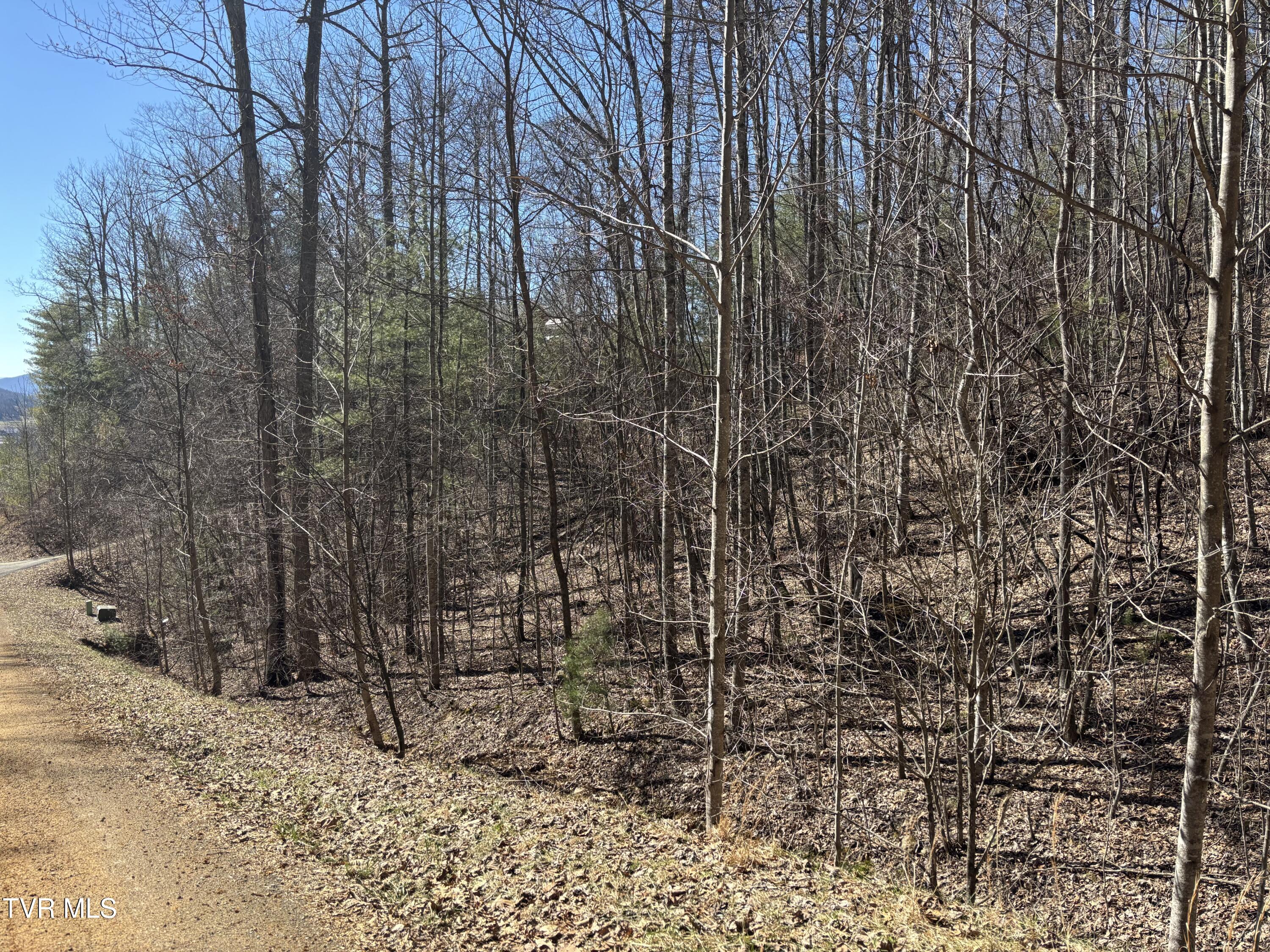 36b Of Roan Creek Road, Butler, Tennessee image 4