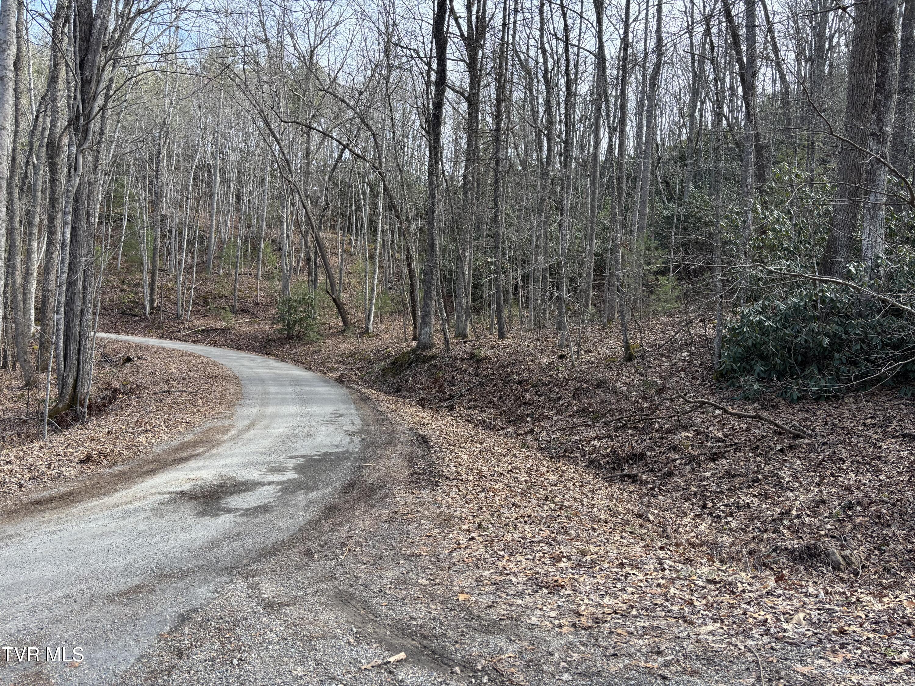 36b Of Roan Creek Road, Butler, Tennessee image 9