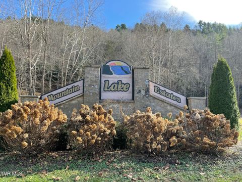 Vacant Land For Sale - 36B Of Roan Creek Road<br/> Johnson County, Butler, TN 37640