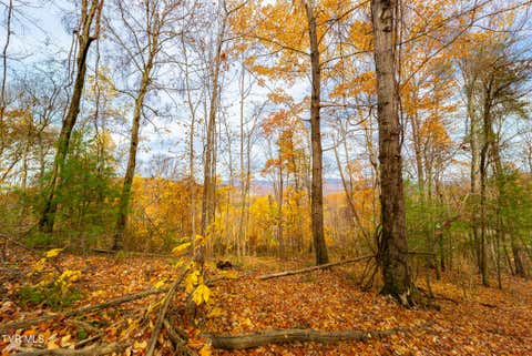 Vacant Land For Sale - Siam Road<br/> Elizabethton, TN 37643