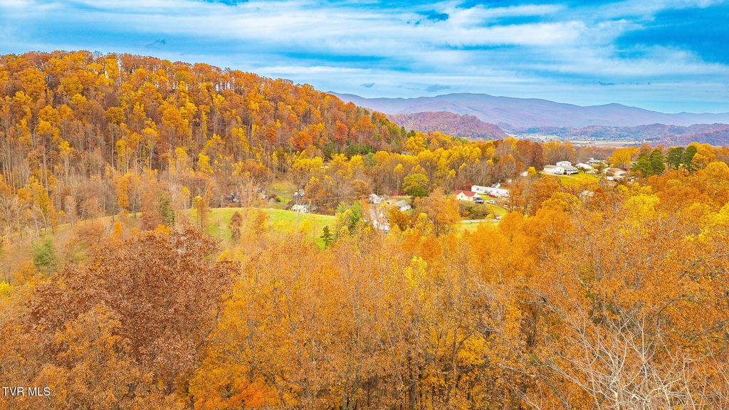 Photo of 0 Siam Road, Elizabethton, TN 37643 (MLS # 9988186)