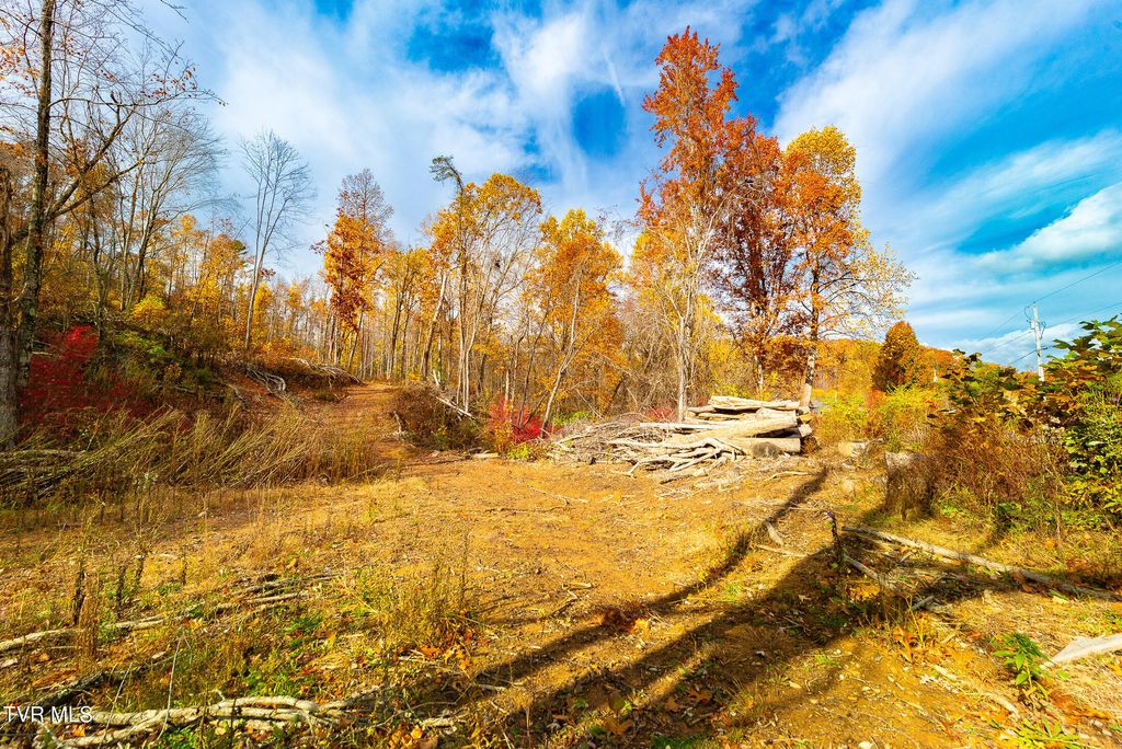 Photo of 0 Siam Road, Elizabethton, TN 37643 (MLS # 9988186)