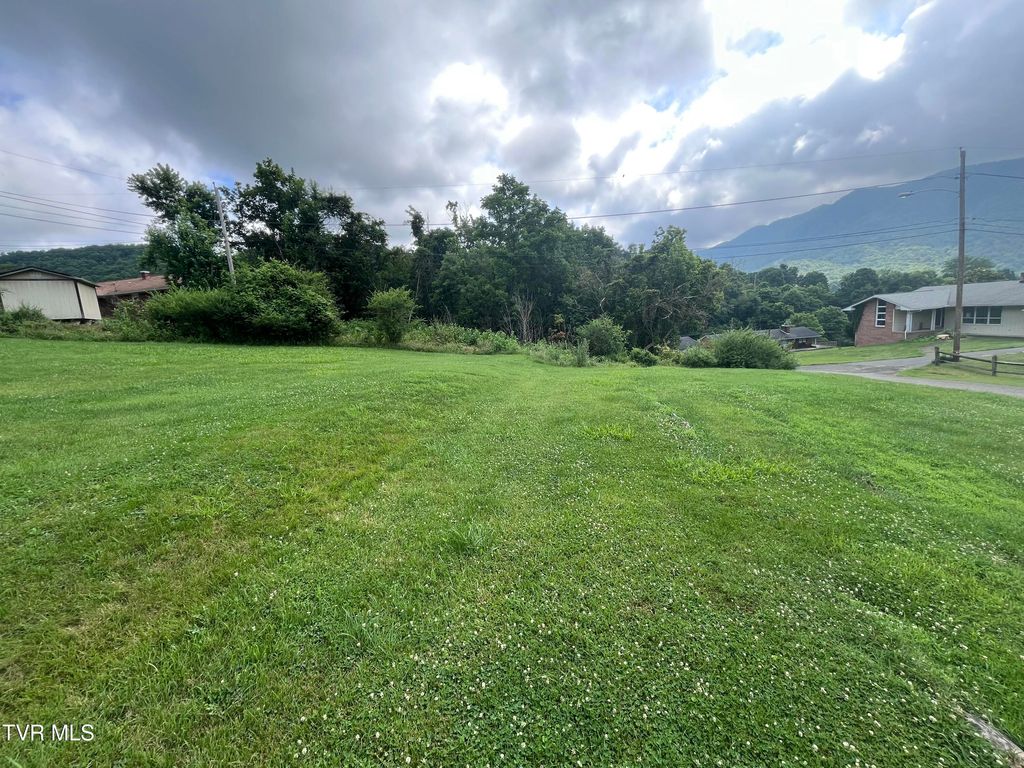 Photo of Tbd Anita Avenue, Gate City, VA 24251 (MLS # 9997906)