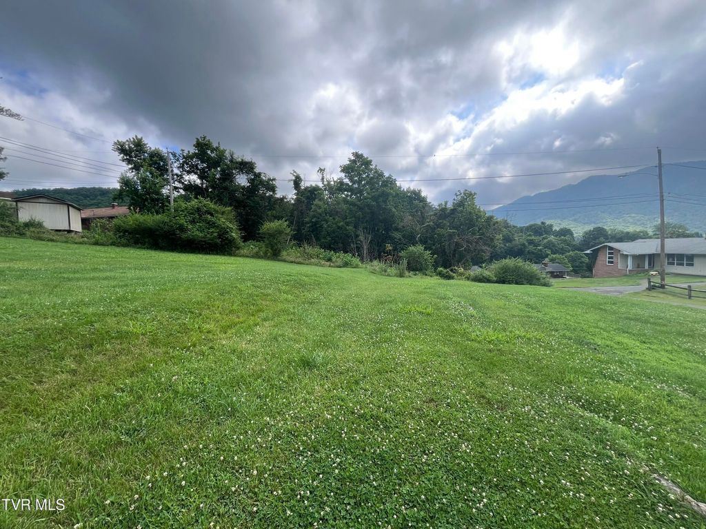Photo of Tbd Anita Avenue, Gate City, VA 24251 (MLS # 9997906)