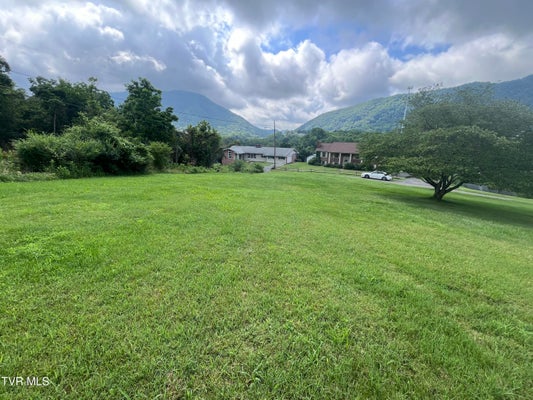 ANITA AVE, GATE CITY, VA 24251 - Image 2b604d01c865a47cf5b64f7f33b964fc/513351920