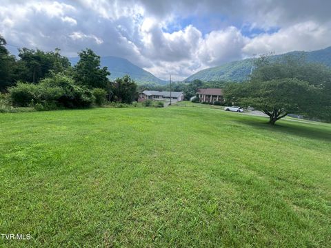 Vacant Land For Sale - TBD Anita Avenue<br/> Gate City, VA 24251