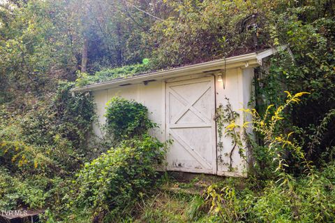 Tiny photo for 5831 Daniel Boone Road, Gate City, VA 24251 (MLS # 9986400)