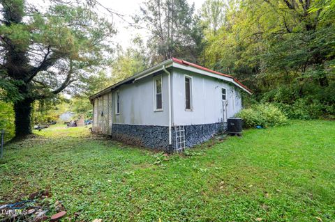 Tiny photo for 5831 Daniel Boone Road, Gate City, VA 24251 (MLS # 9986400)