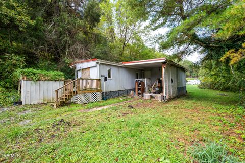 Tiny photo for 5831 Daniel Boone Road, Gate City, VA 24251 (MLS # 9986400)
