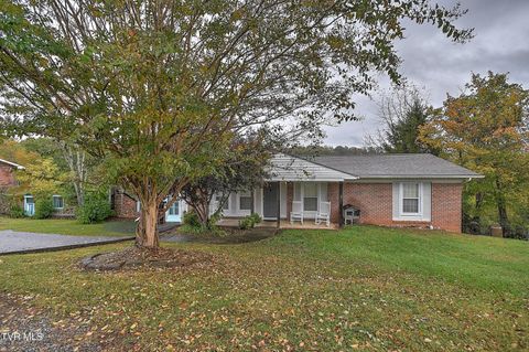 Photo of 312 Merman Road Road, Kingsport, TN 37663 (MLS # 9987617)