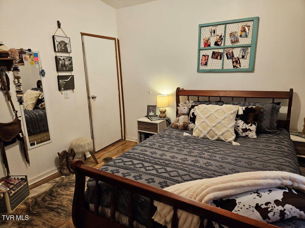 17508 Dreamers Lane, Glade Spring, Virginia image 19