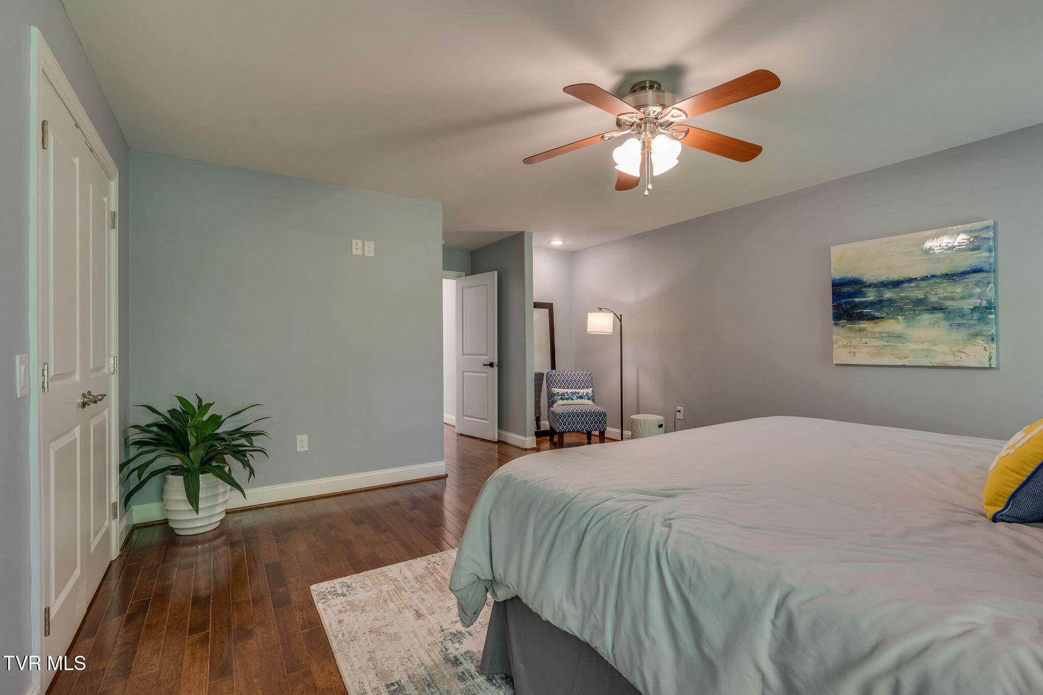 213 Shadowood Drive, Johnson City, Tennessee image 50