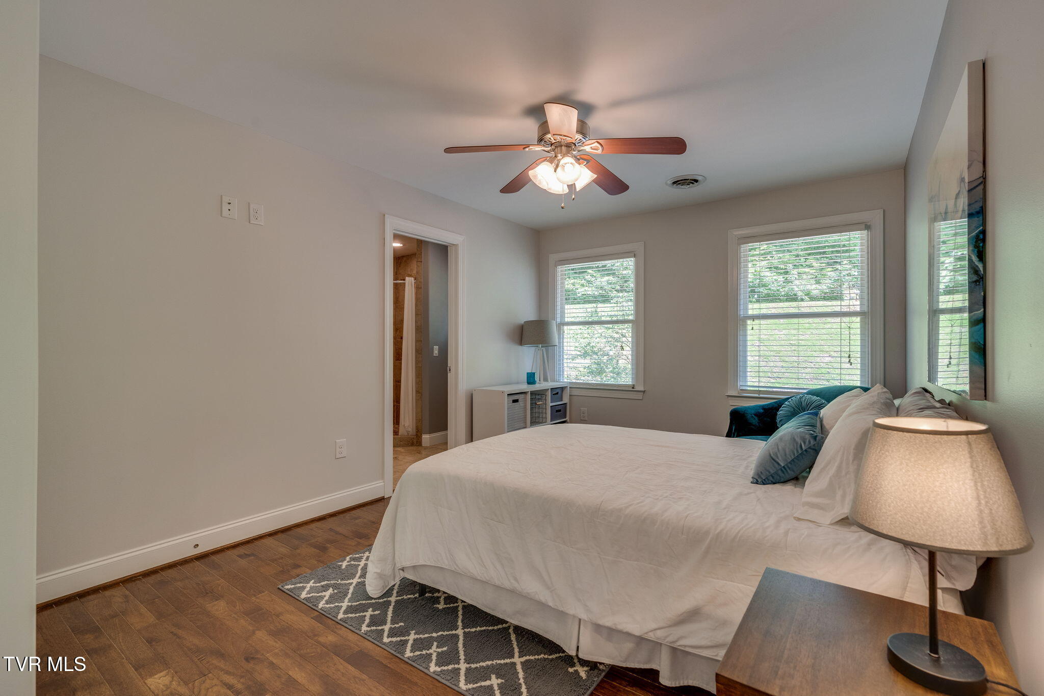 213 Shadowood Drive, Johnson City, Tennessee image 44