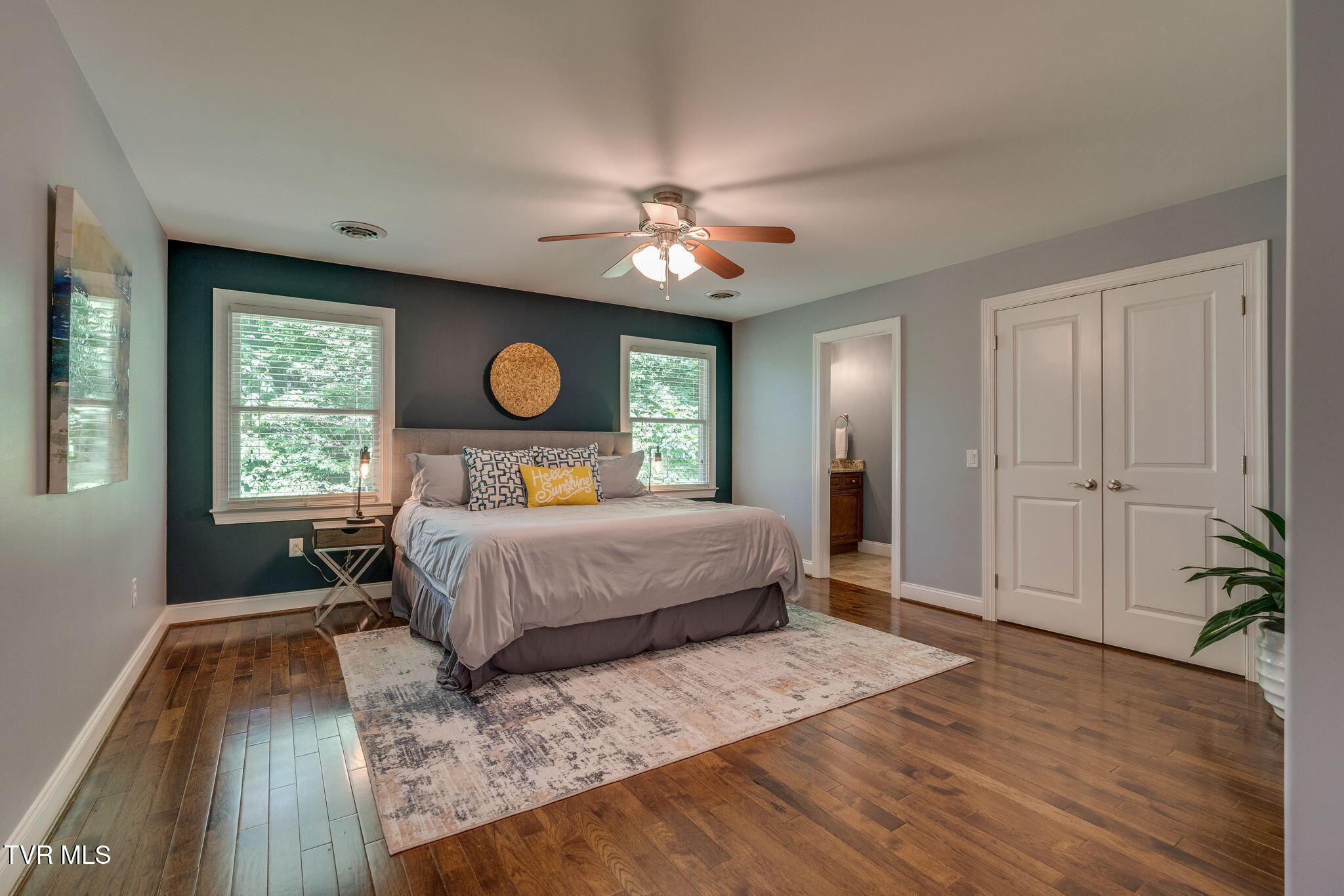 213 Shadowood Drive, Johnson City, Tennessee image 48