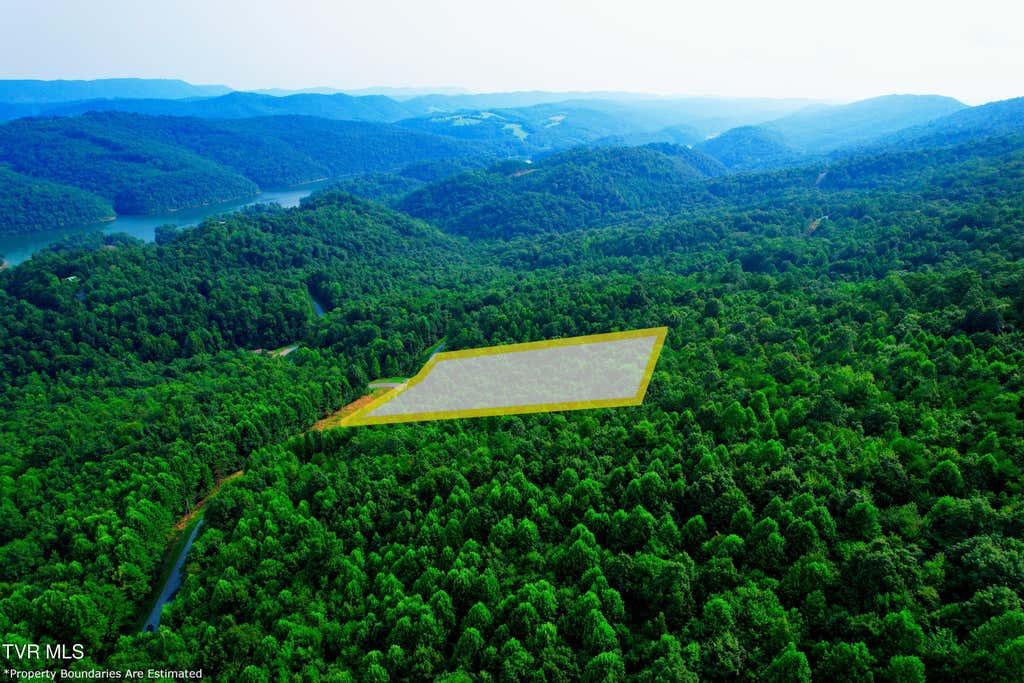 Photo of 892 Whistle Valley Road, New Tazewell, TN 37825 (MLS # 9999518)