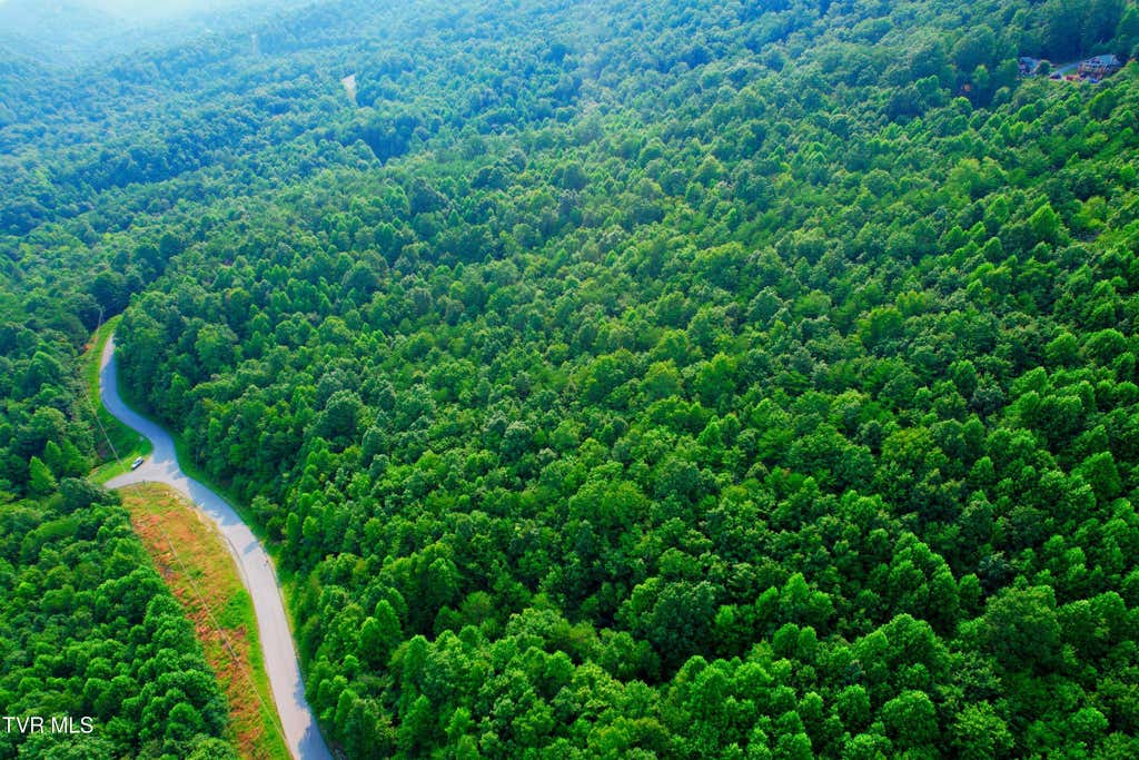 Photo of 892 Whistle Valley Road, New Tazewell, TN 37825 (MLS # 9999518)