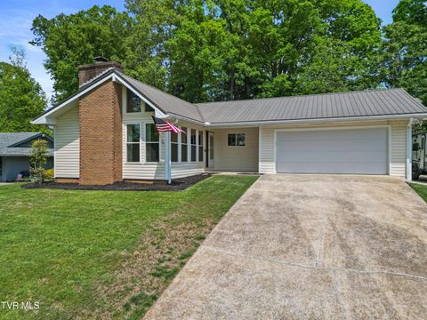 Photo of 1231 Tanglewood Drive, Greeneville, TN 37743 (MLS # 9994520)