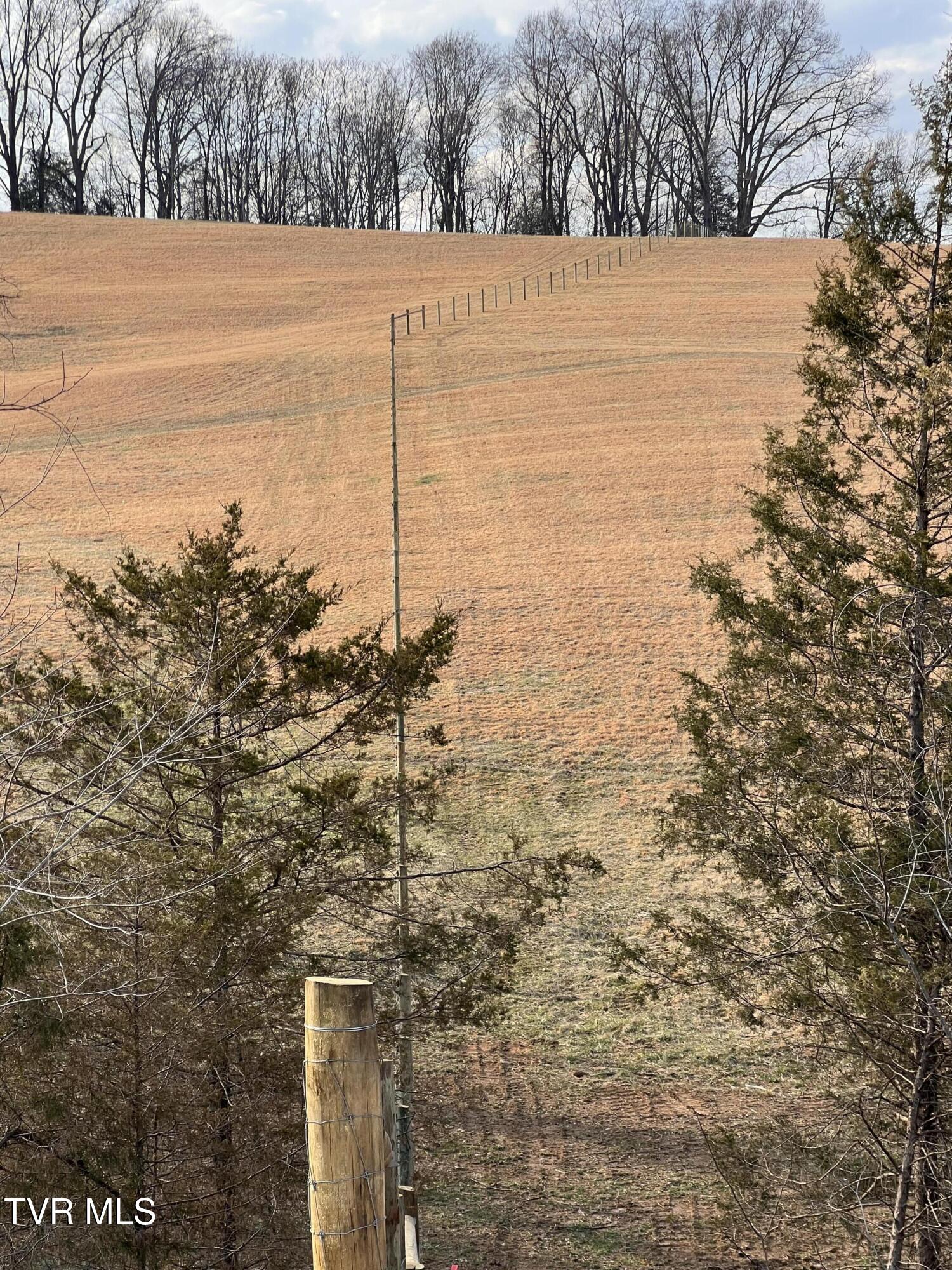 00 Jackson Road, Jonesborough, Tennessee image 12