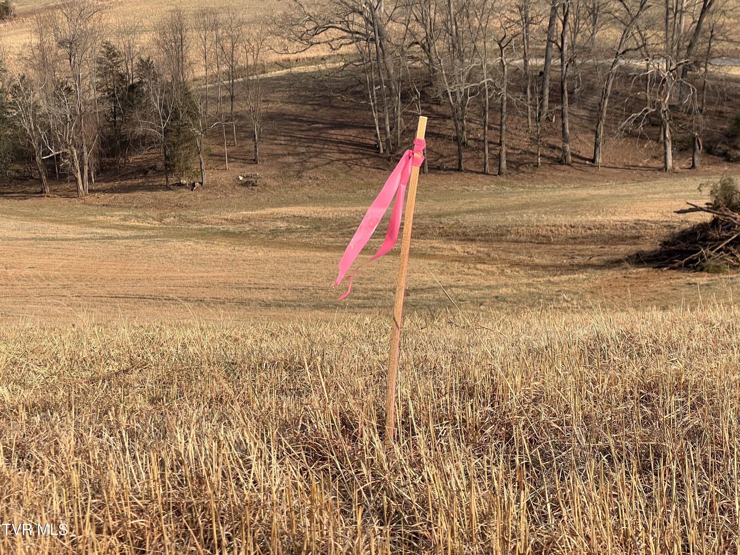 00 Jackson Road, Jonesborough, Tennessee image 25