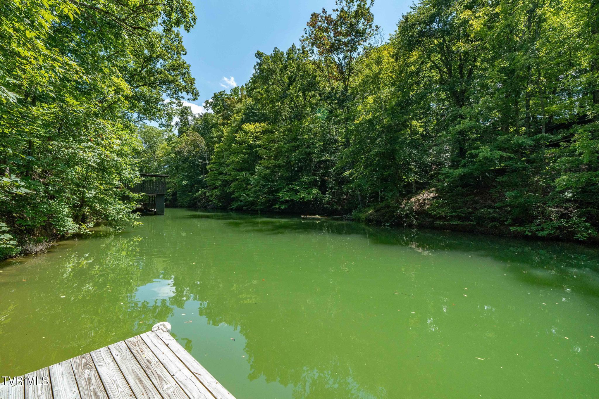 2316 Devault Bridge Road, Piney Flats, Tennessee image 44