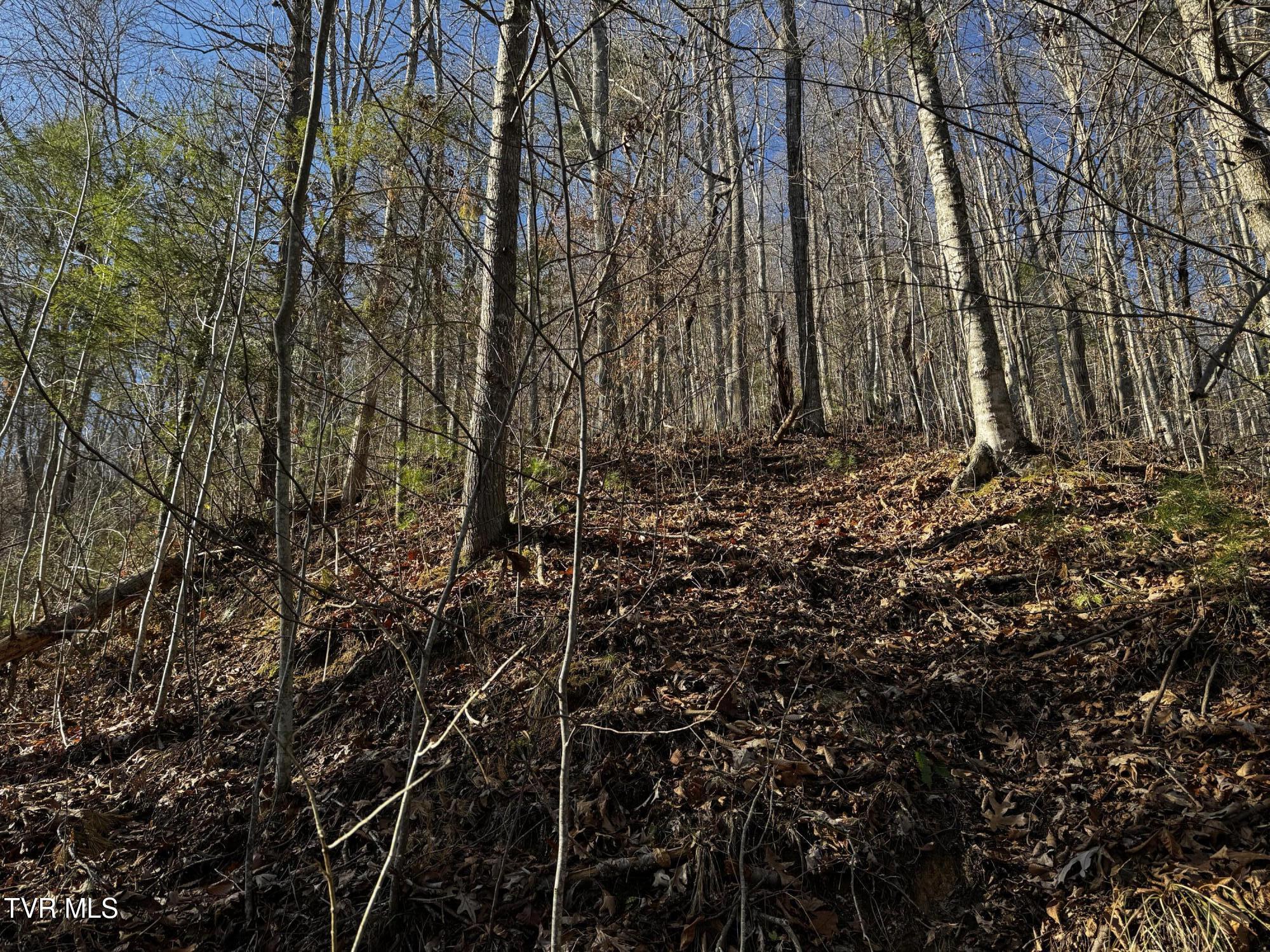 4264 Old Asheville Highway, Flag Pond, Tennessee image 21