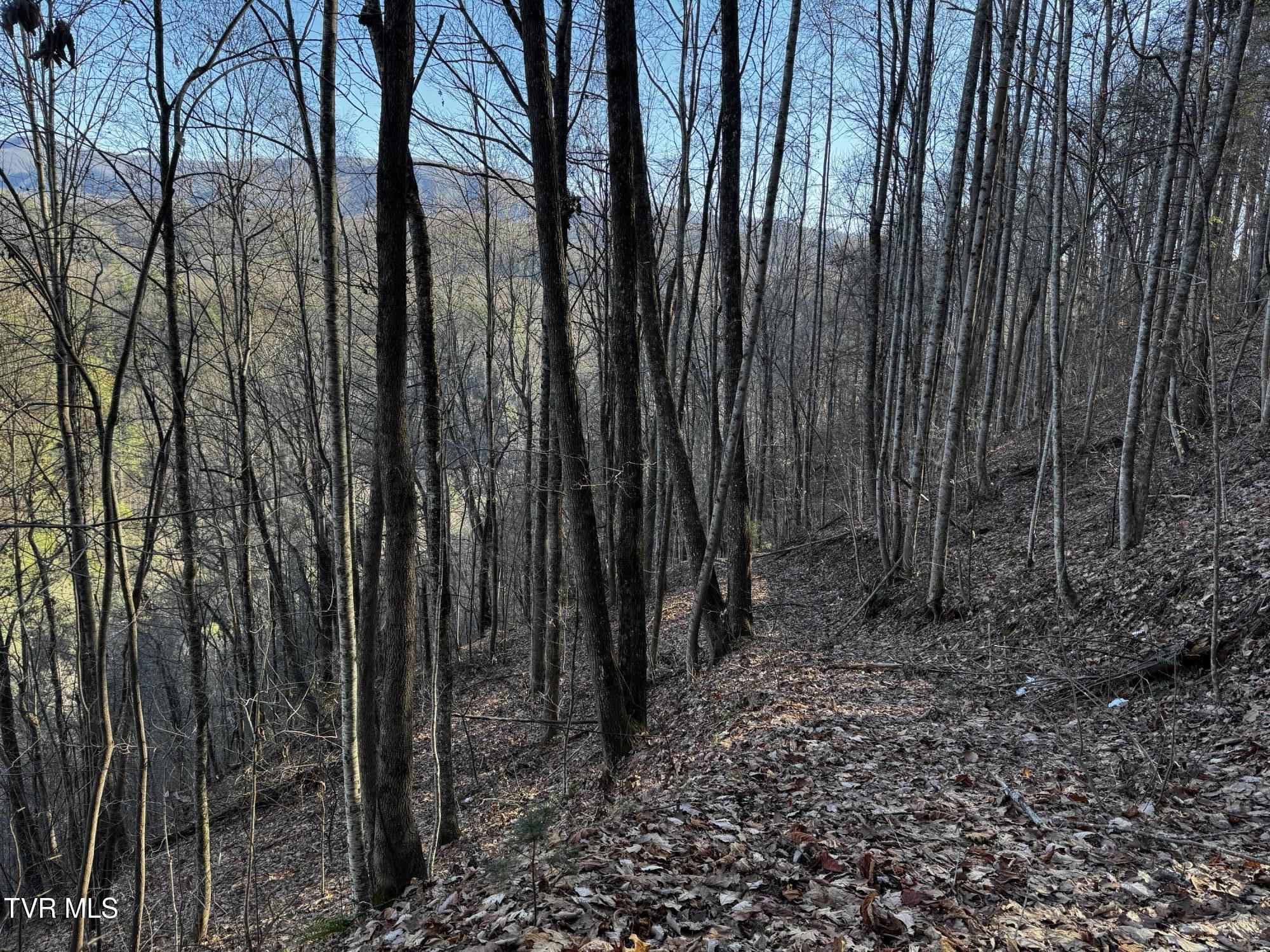 4264 Old Asheville Highway, Flag Pond, Tennessee image 30