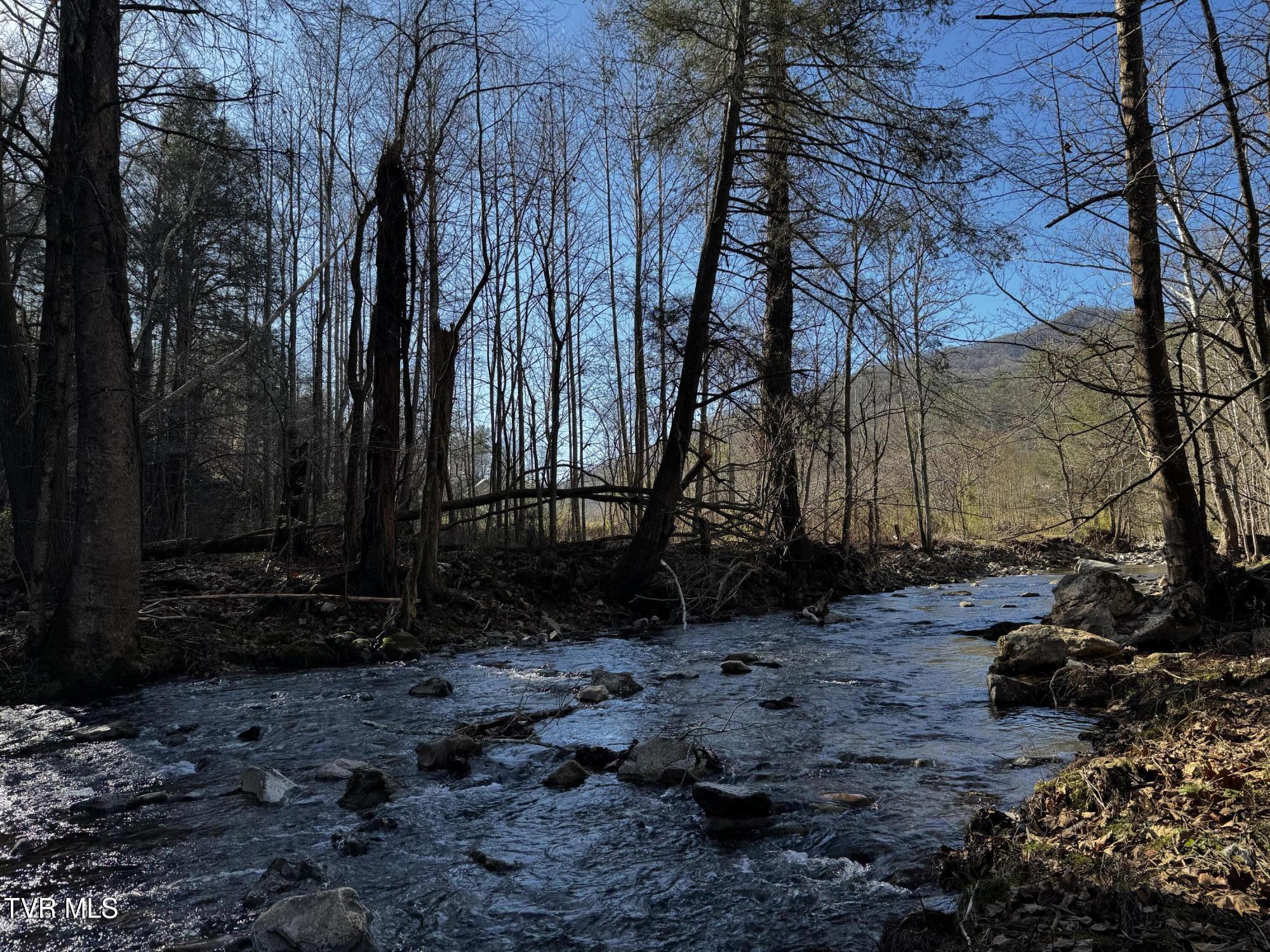 4264 Old Asheville Highway, Flag Pond, Tennessee image 34