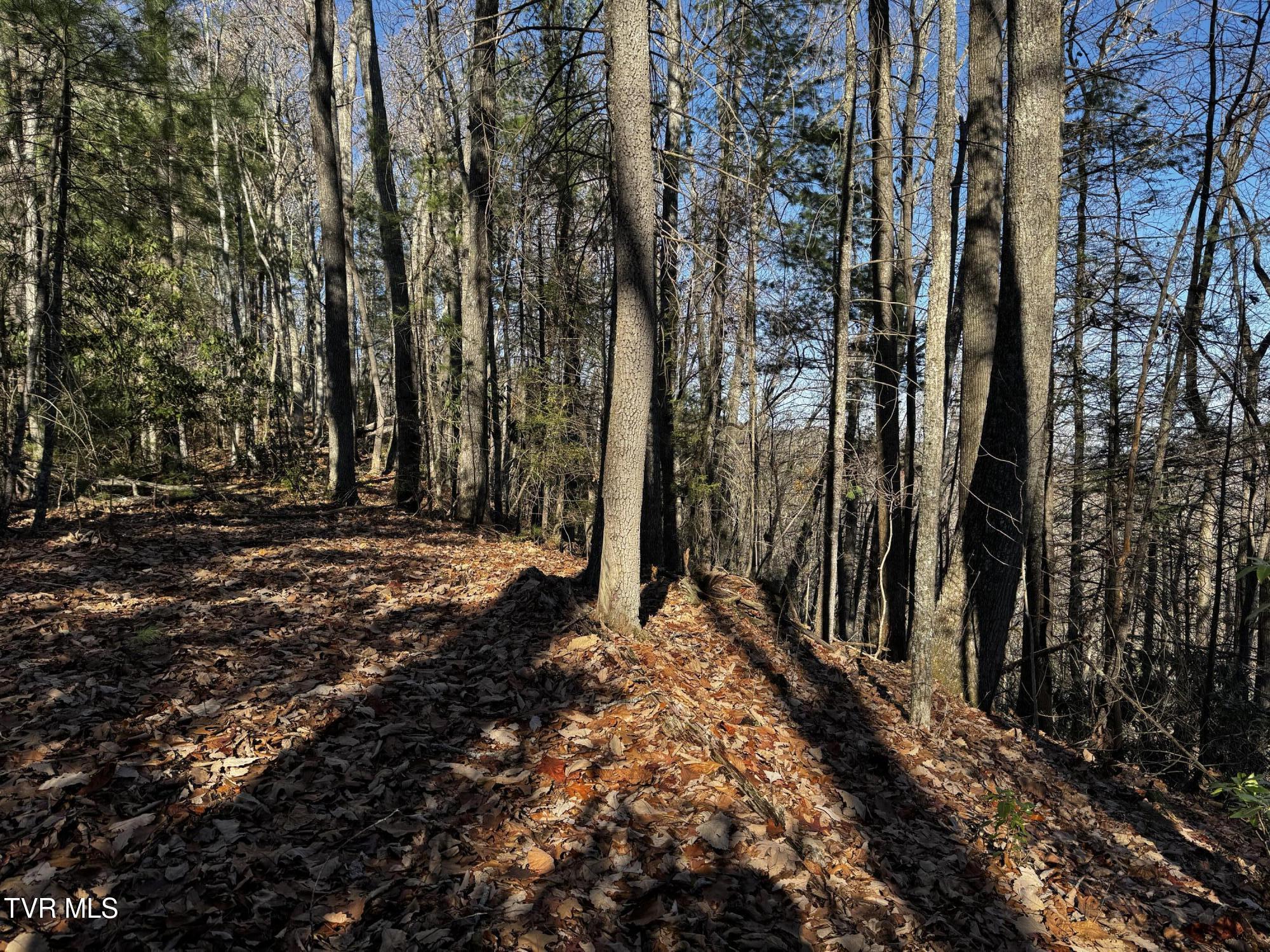 4264 Old Asheville Highway, Flag Pond, Tennessee image 27