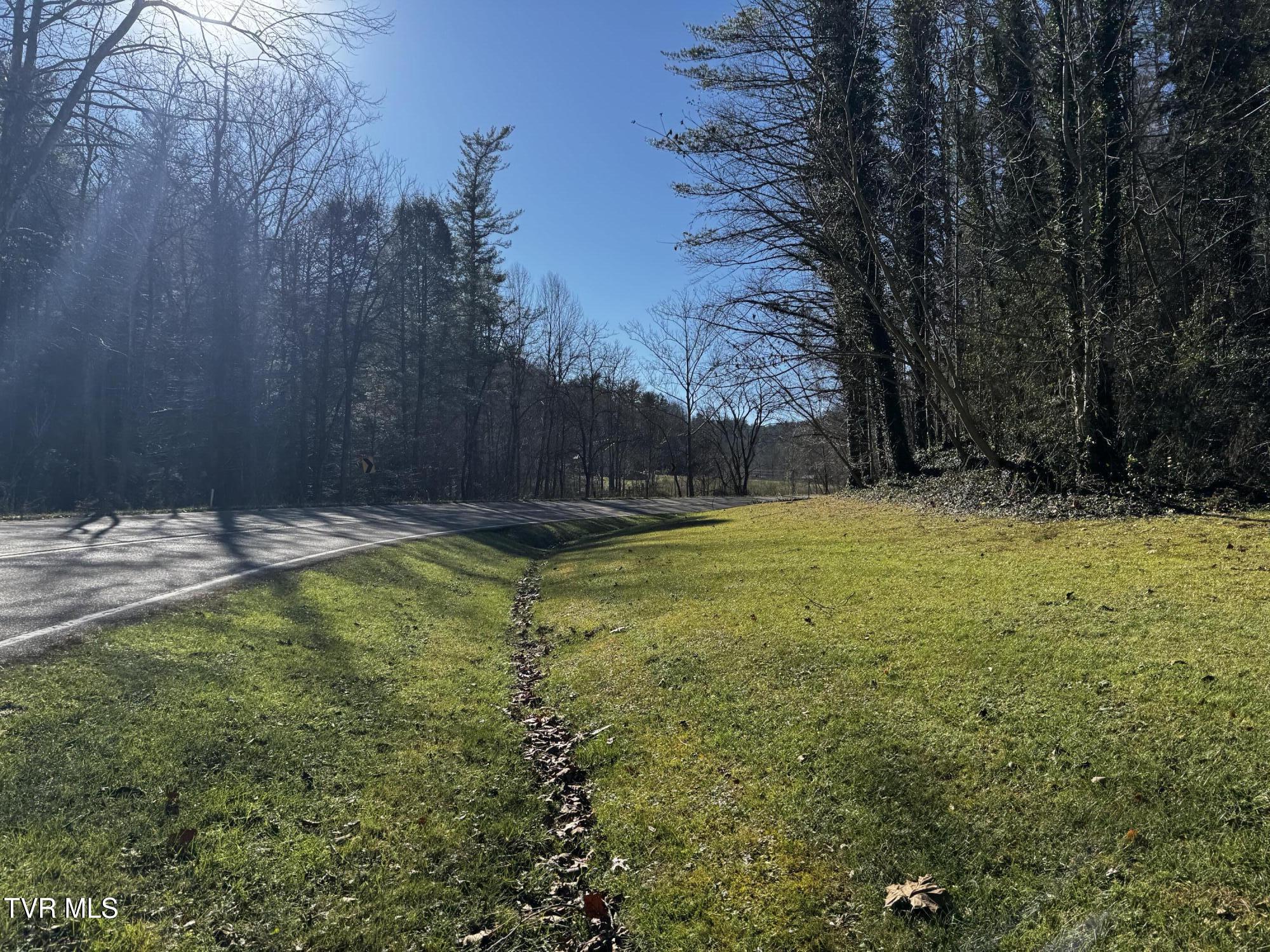 4264 Old Asheville Highway, Flag Pond, Tennessee image 2