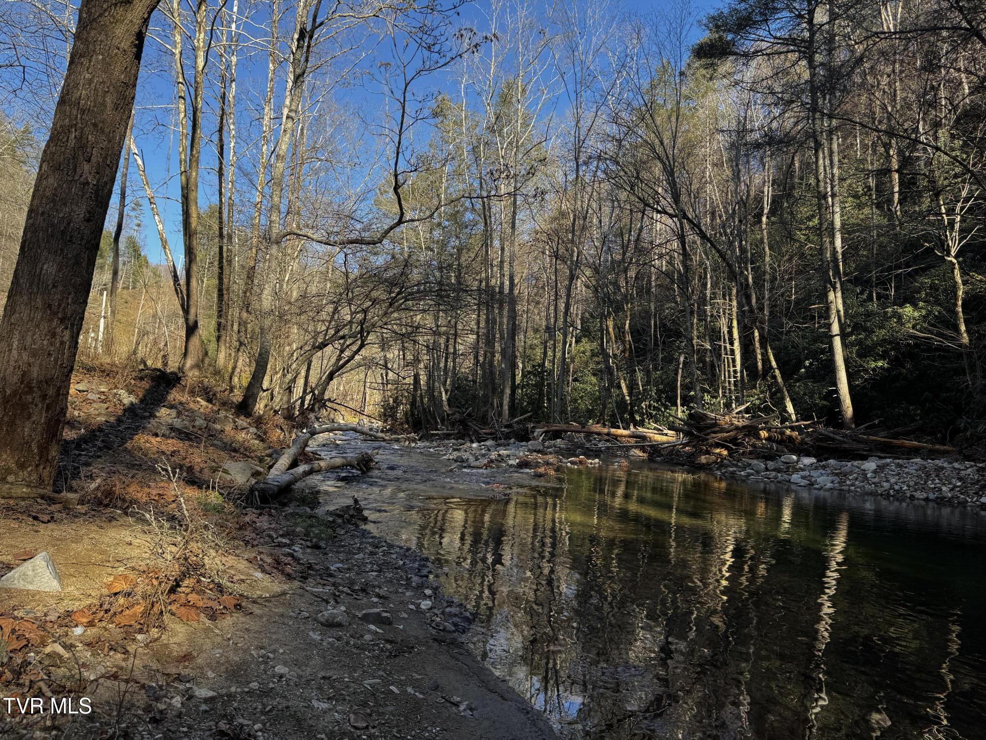 4264 Old Asheville Highway, Flag Pond, Tennessee image 35