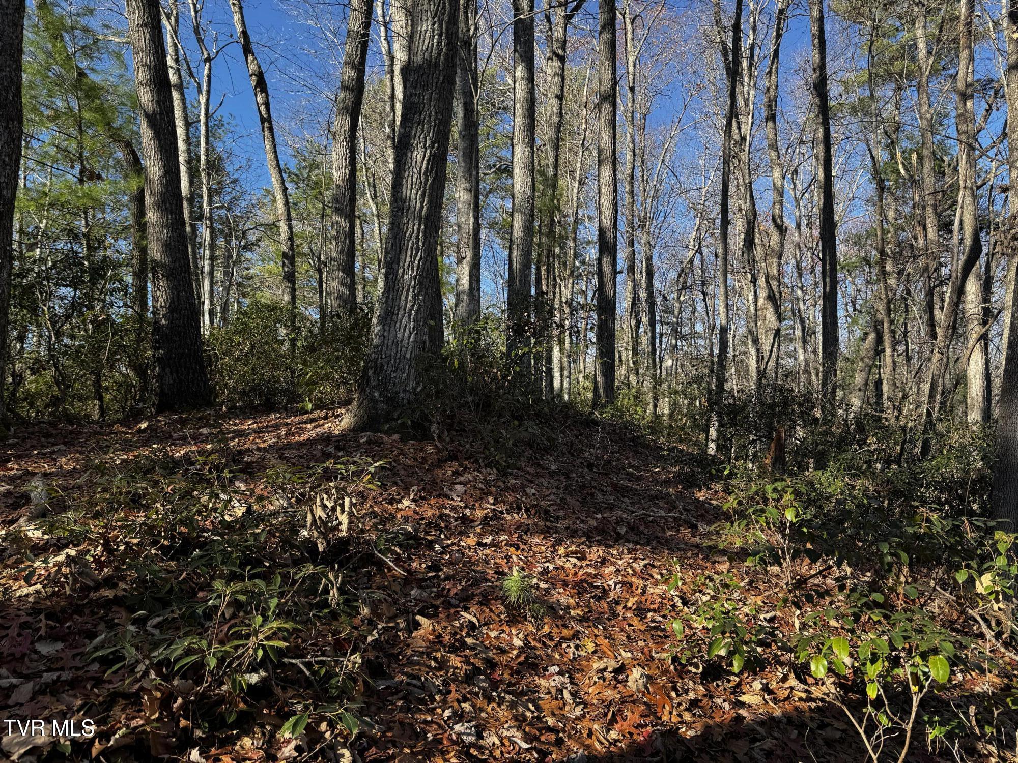 4264 Old Asheville Highway, Flag Pond, Tennessee image 25