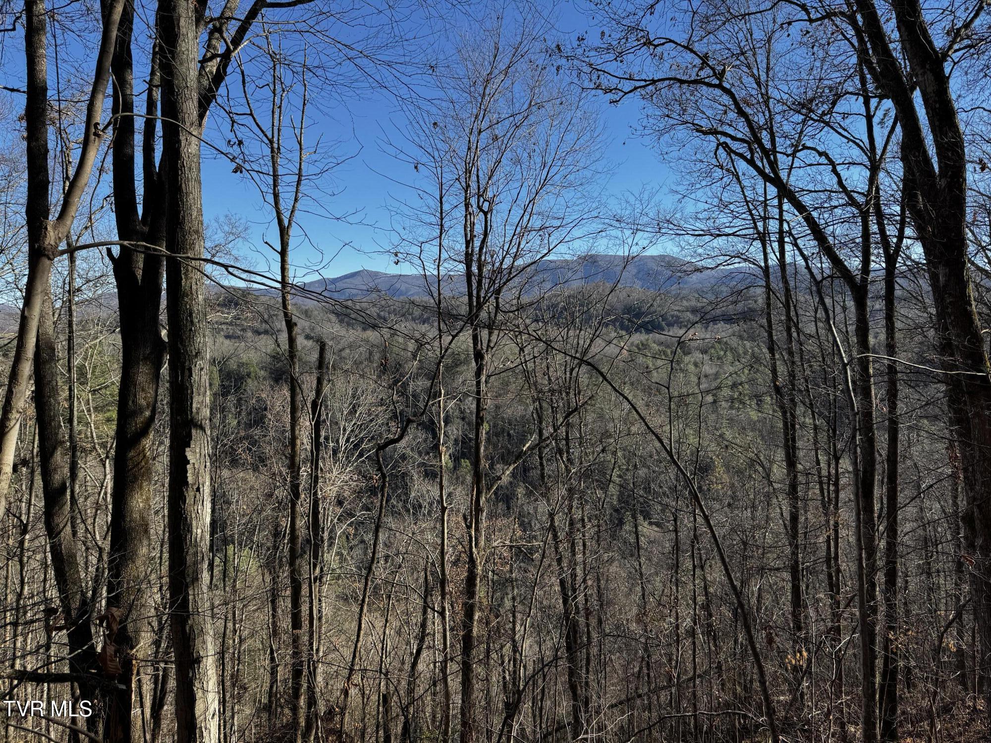 4264 Old Asheville Highway, Flag Pond, Tennessee image 22
