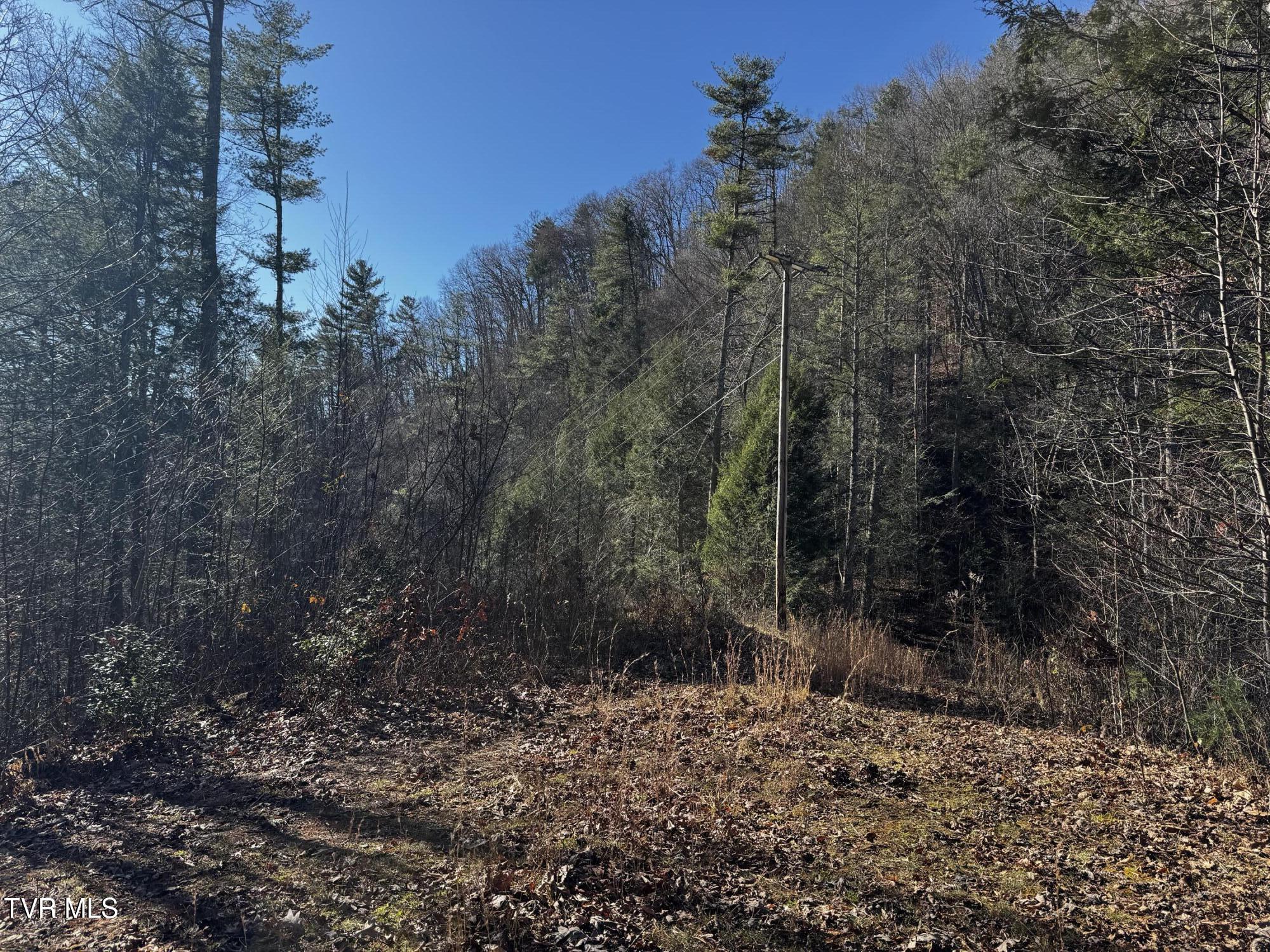 4264 Old Asheville Highway, Flag Pond, Tennessee image 18