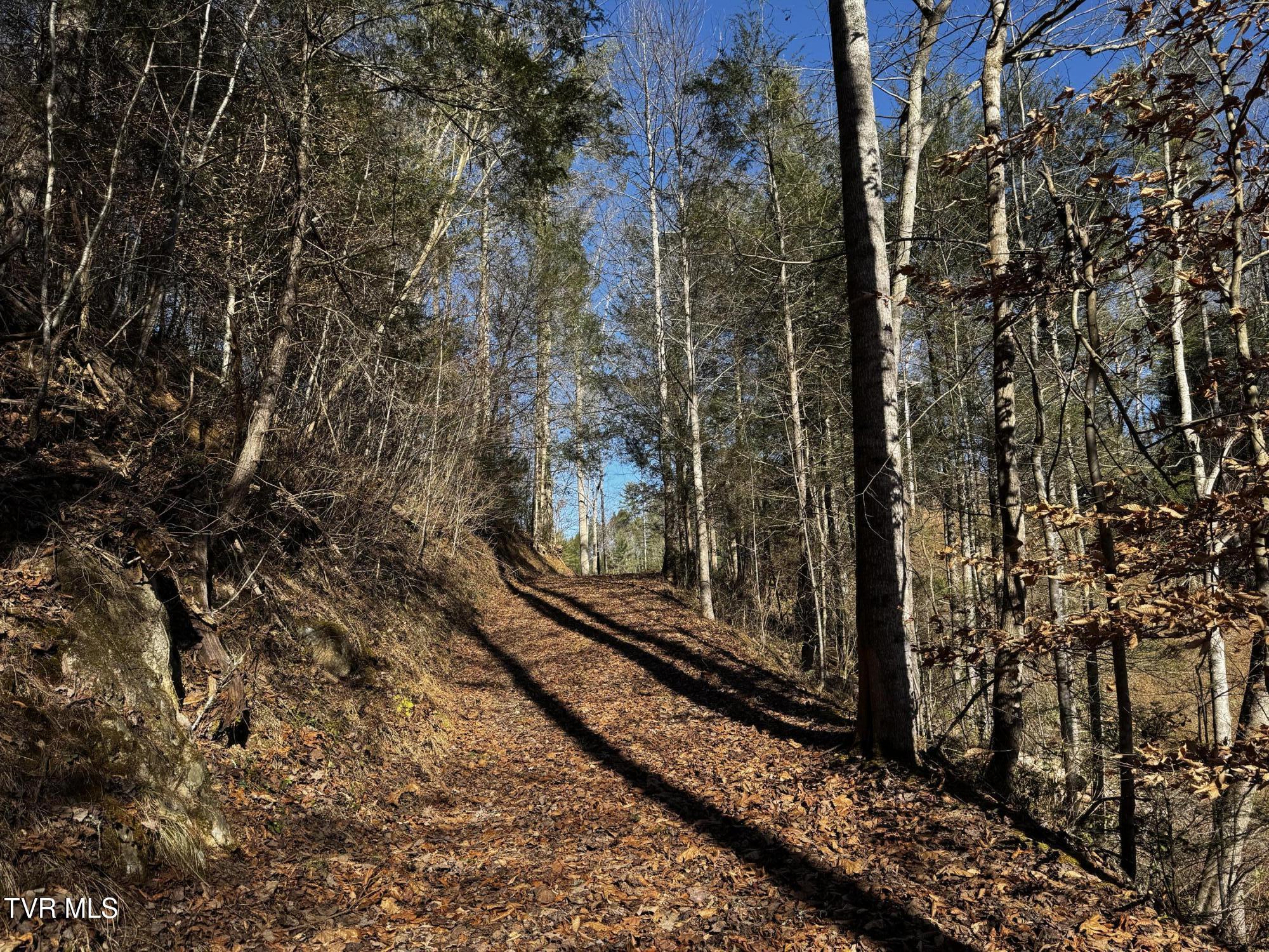 4264 Old Asheville Highway, Flag Pond, Tennessee image 14