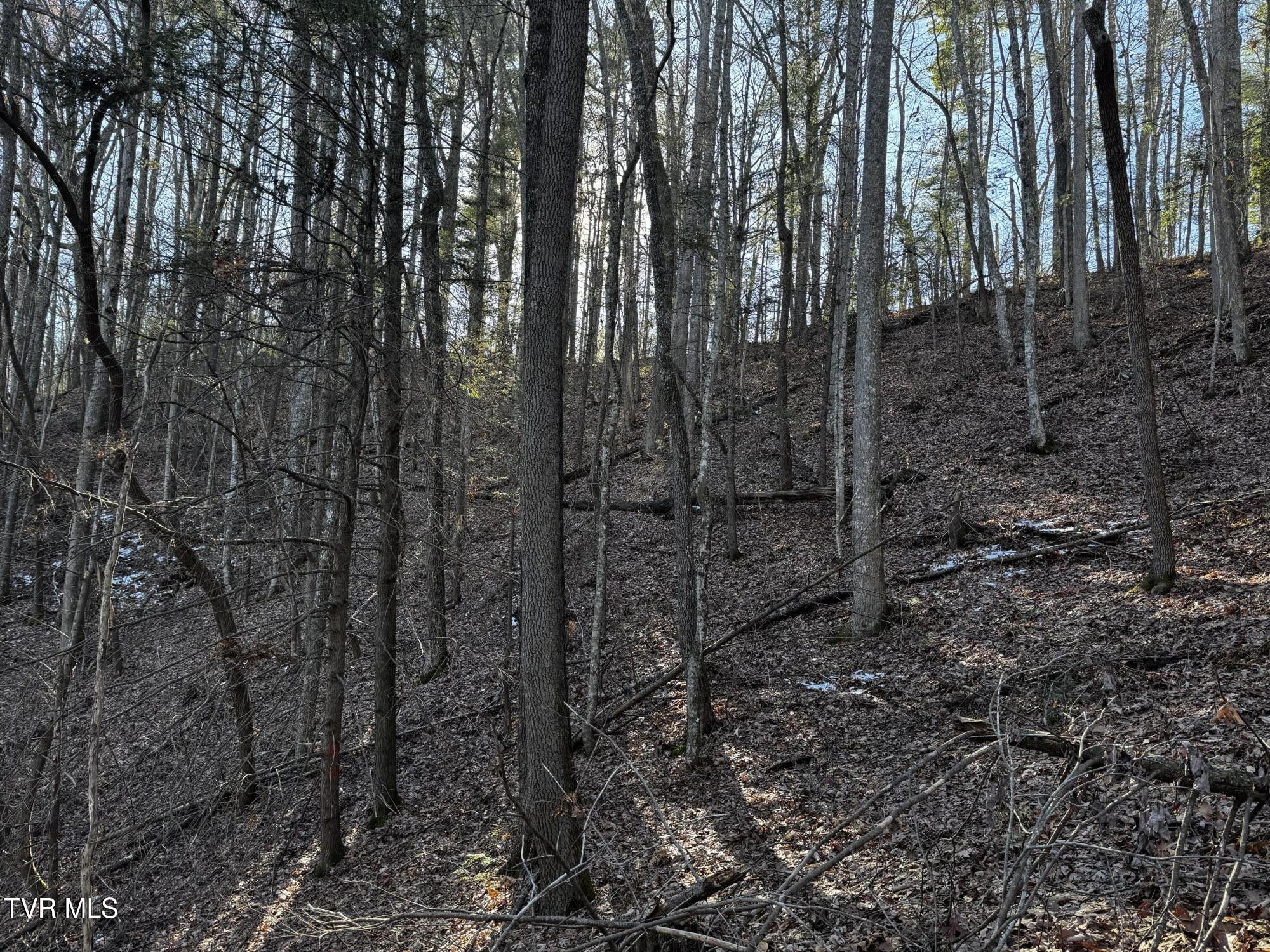4264 Old Asheville Highway, Flag Pond, Tennessee image 29
