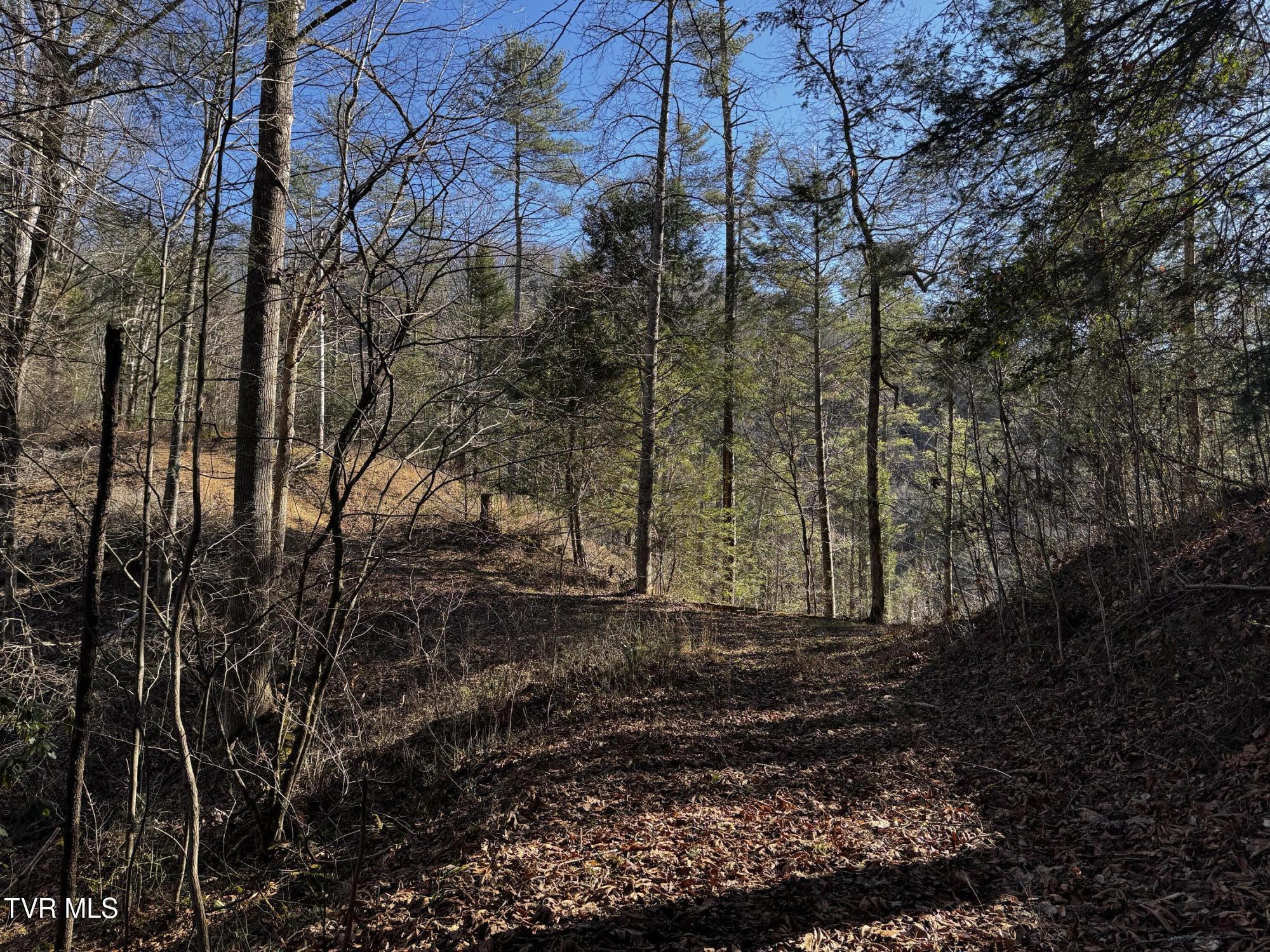 4264 Old Asheville Highway, Flag Pond, Tennessee image 19