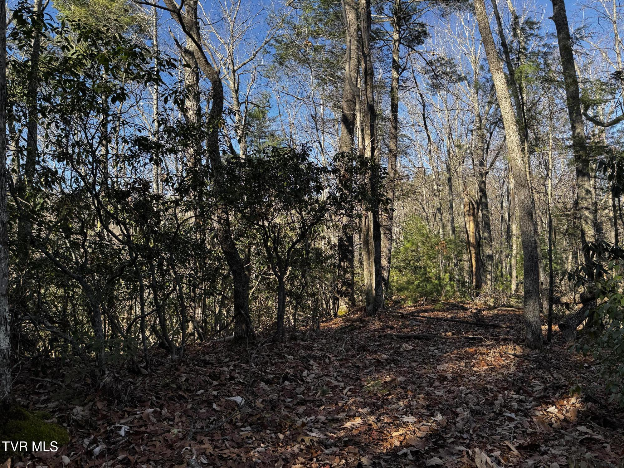 4264 Old Asheville Highway, Flag Pond, Tennessee image 26