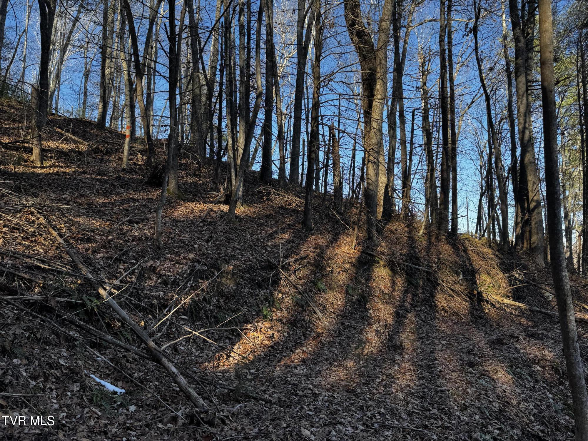4264 Old Asheville Highway, Flag Pond, Tennessee image 31