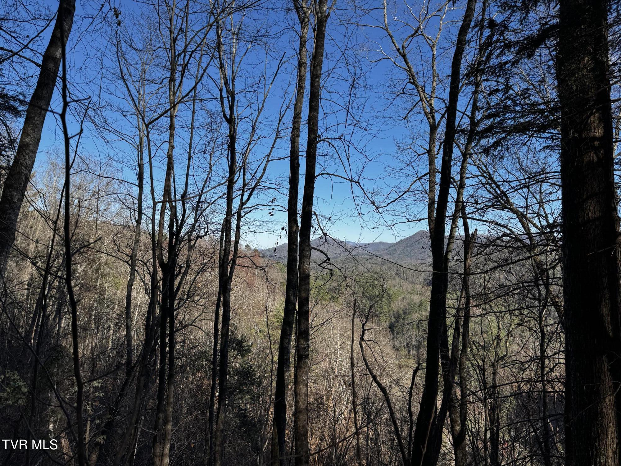 4264 Old Asheville Highway, Flag Pond, Tennessee image 23