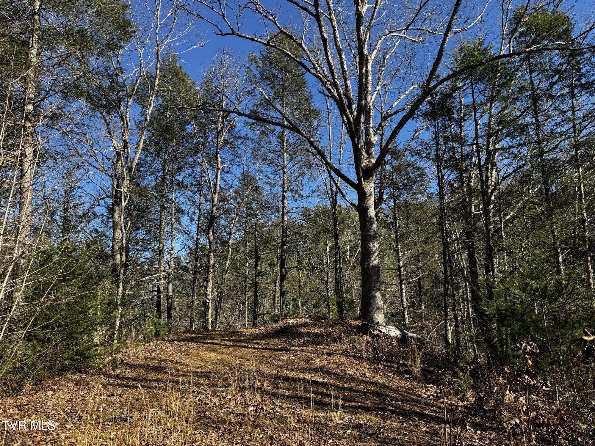 4264 Old Asheville Highway, Flag Pond, Tennessee image 15
