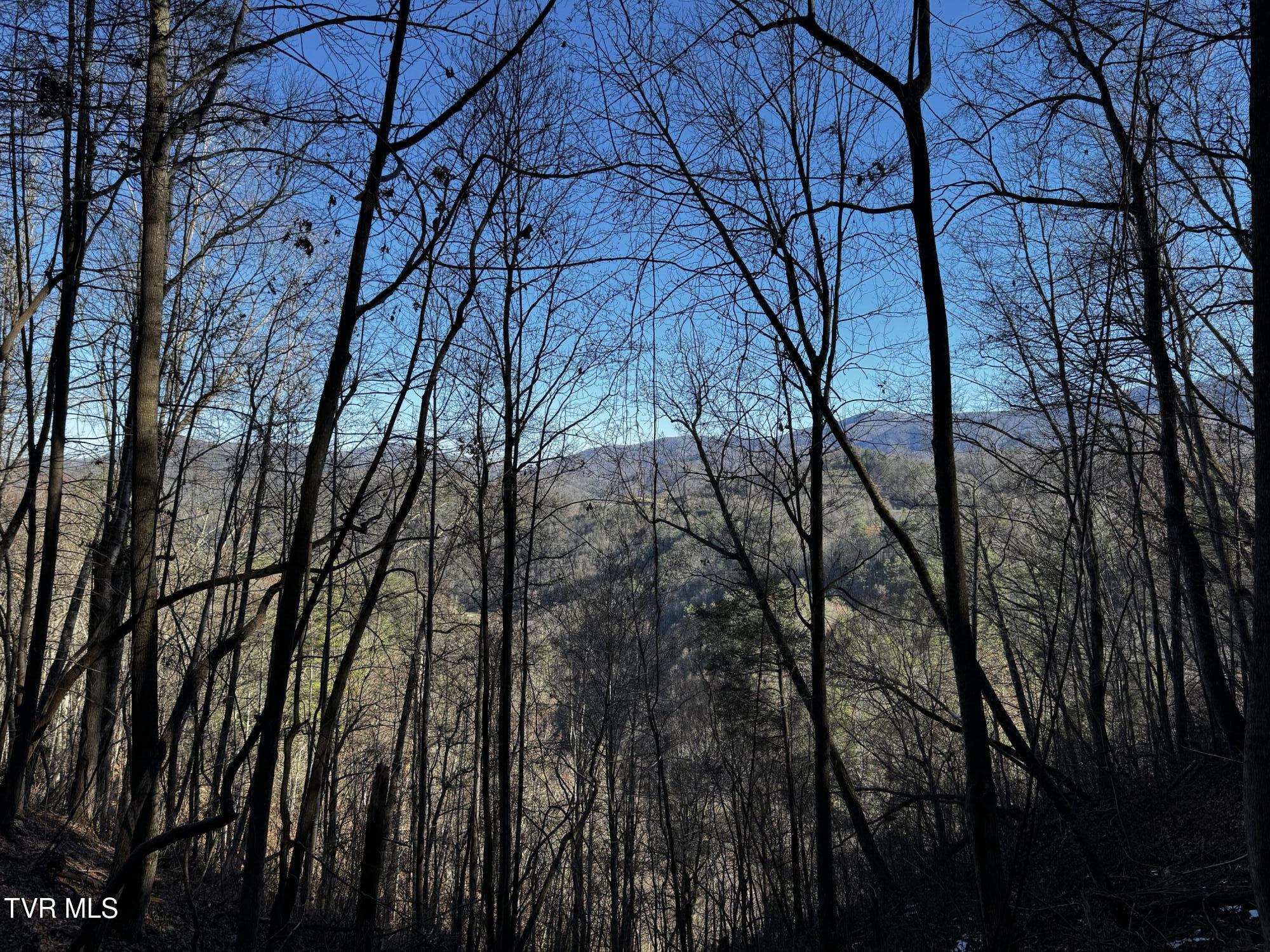 4264 Old Asheville Highway, Flag Pond, Tennessee image 32