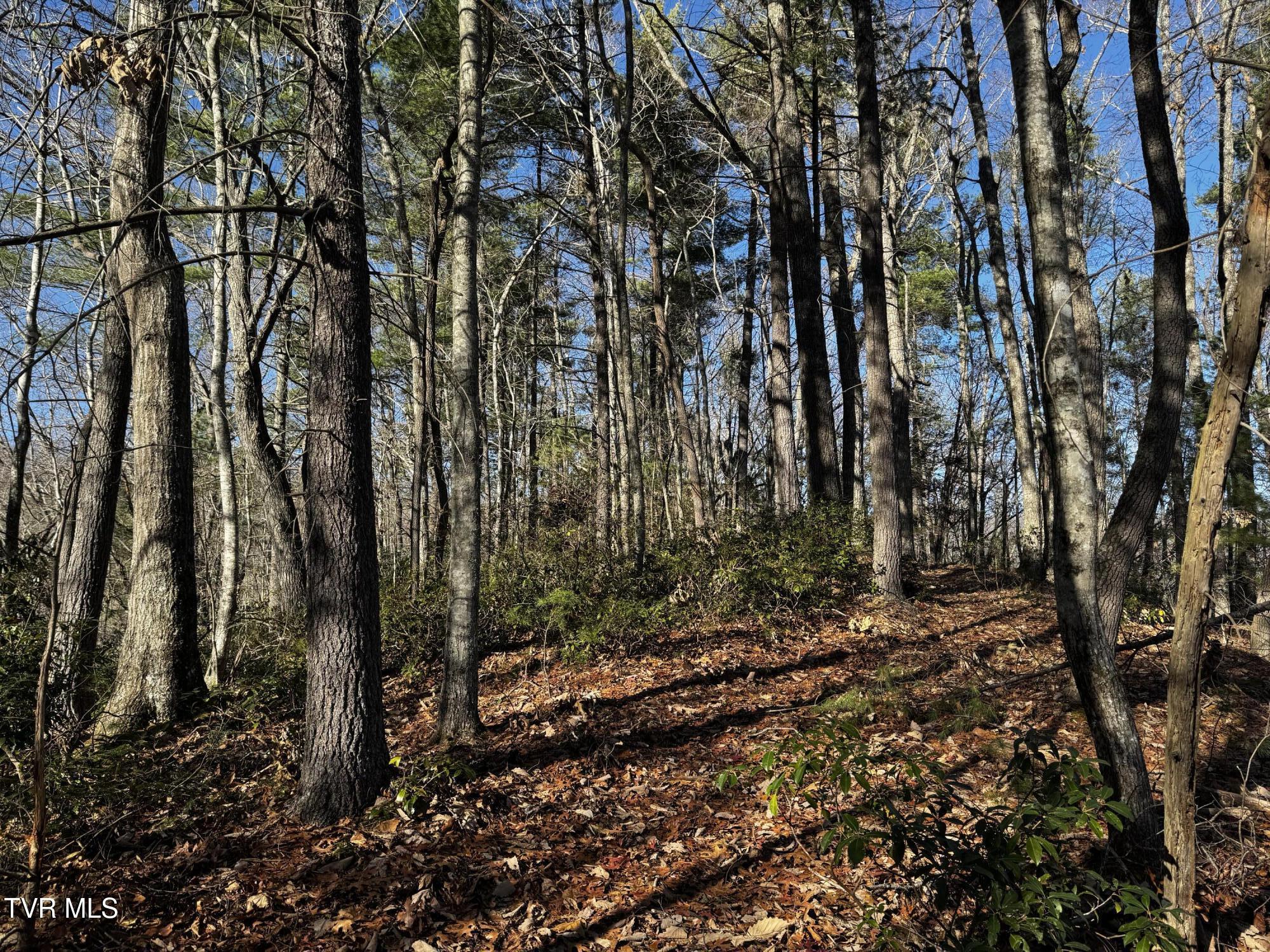 4264 Old Asheville Highway, Flag Pond, Tennessee image 28
