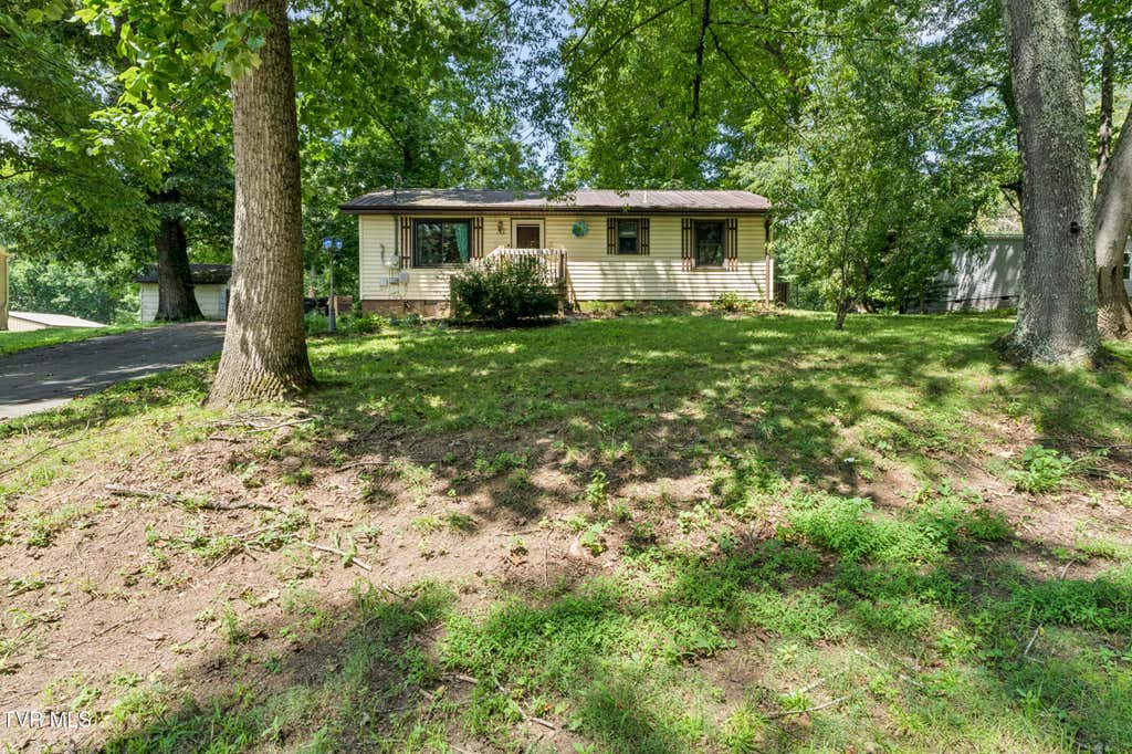 Photo of 127 Hallborough Drive, Jonesborough, TN 37659 (MLS # 9999843)
