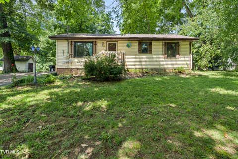 Photo of 127 Hallborough Drive, Jonesborough, TN 37659 (MLS # 9999843)