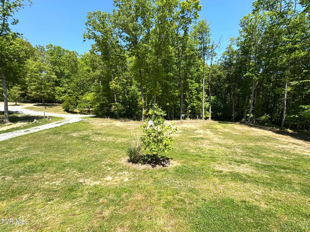 Photo of 12580 Star Branch Road, Coeburn, VA 24230 (MLS # 9995617)